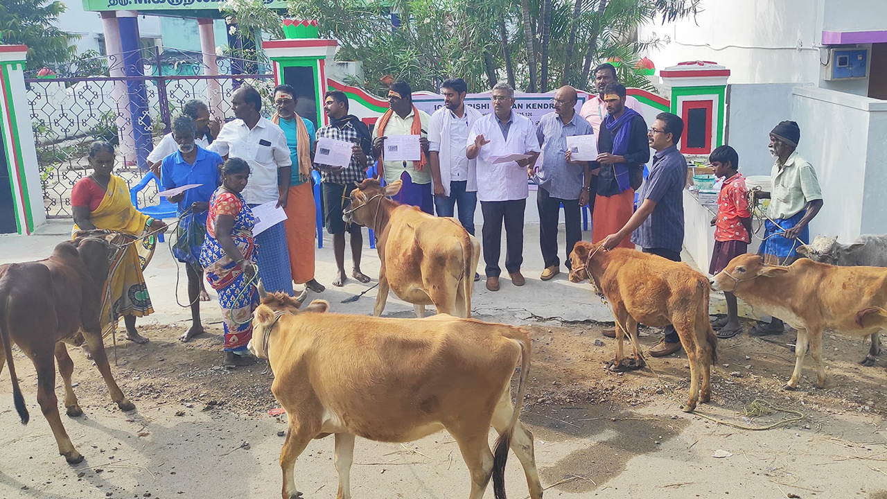 animal-health-camp