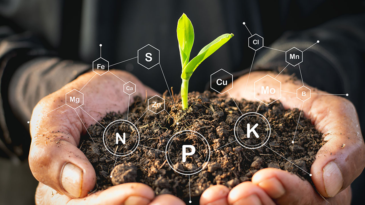 Reviving Soil Health through Organic Carbon Enhancement Technologies