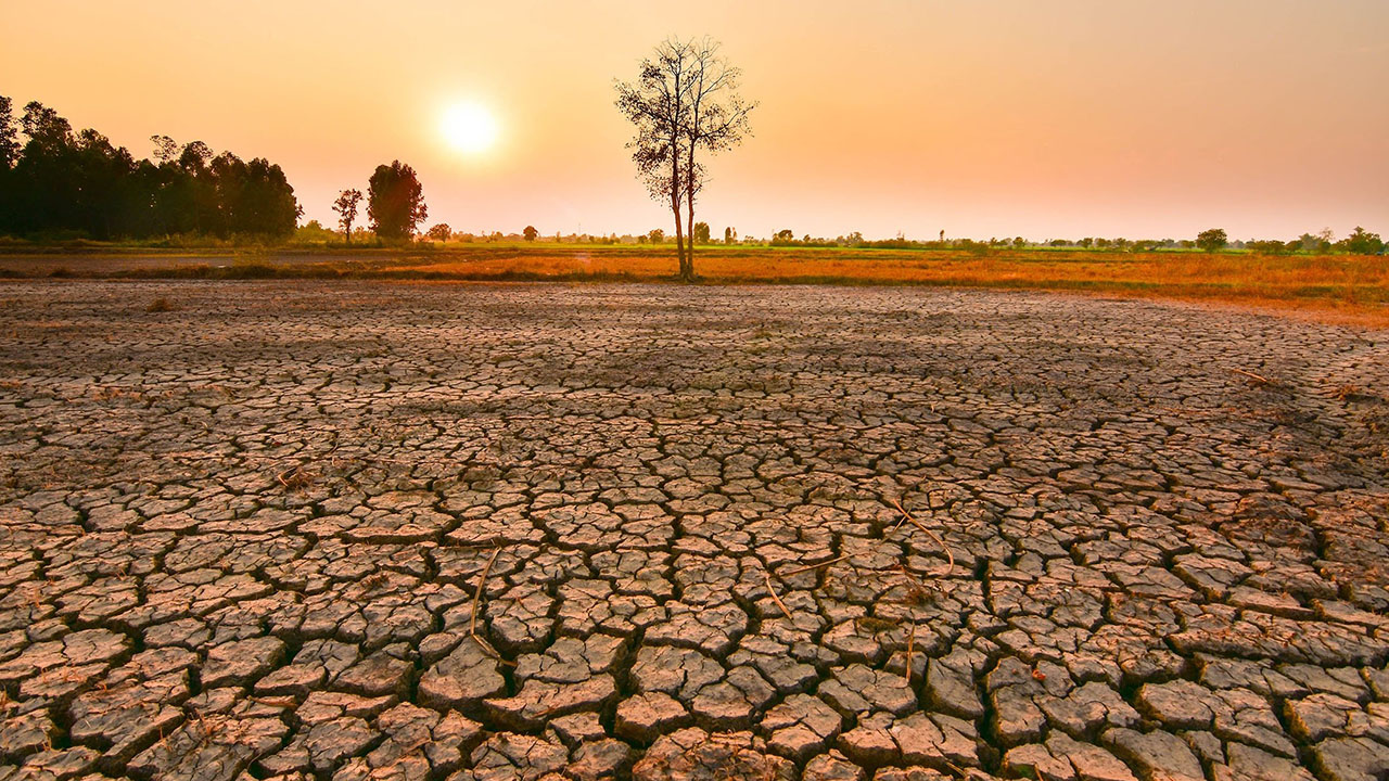Understanding El Niño: Impacts on Agriculture and Recovery Strategies