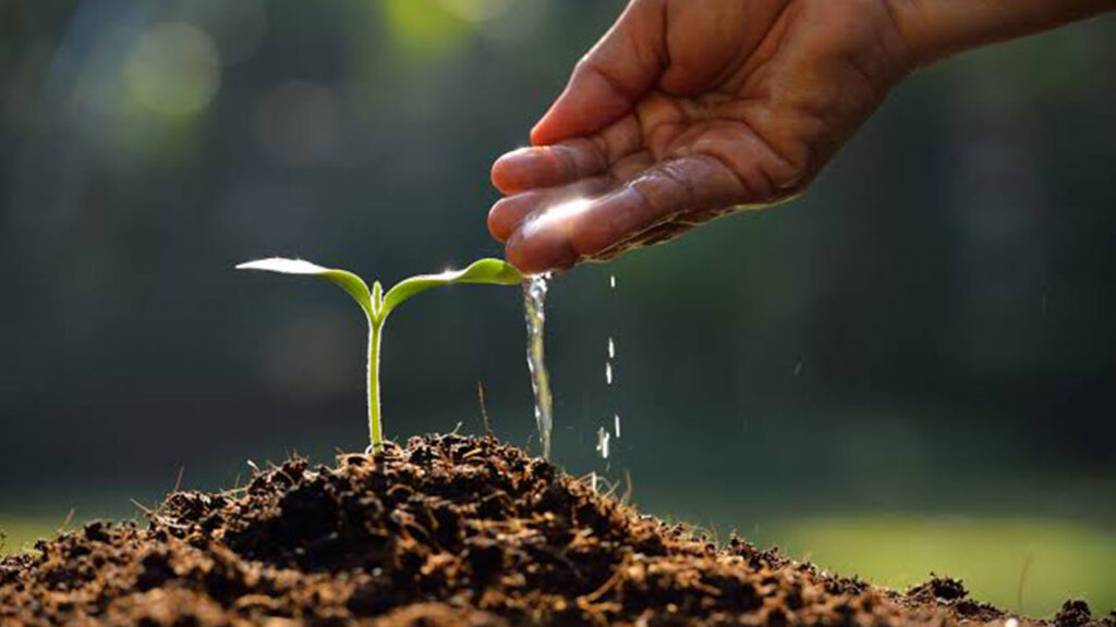 How to Handle El Niño: Protecting People, Animals and Crops